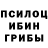Псилоцибиновые грибы мухоморы Nina Khaetskaya