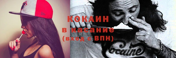 хмурый Корсаков