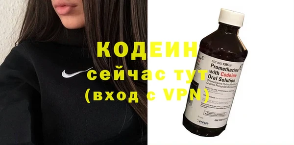 хмурый Корсаков