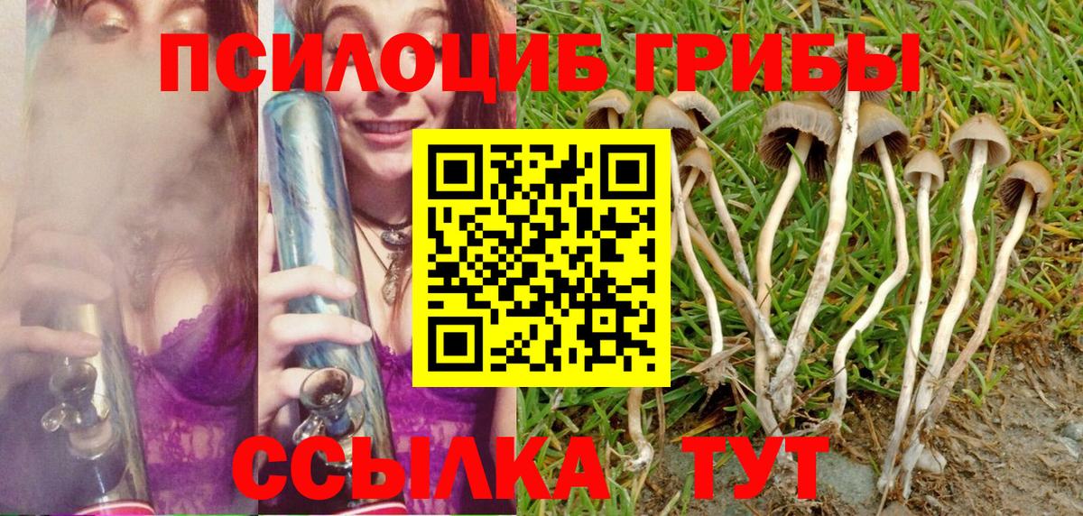 Псилоцибиновые грибы MAGIC MUSHROOMS Норильск