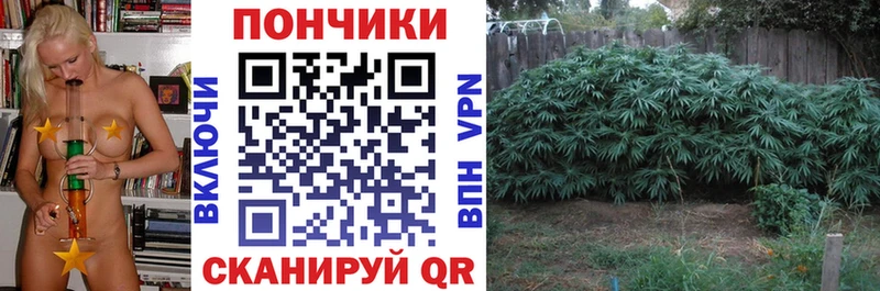 Бошки Шишки гибрид  Норильск 